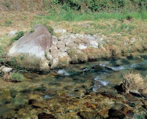 佐波川関水