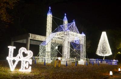 亀山公園（県立美術館横）のイルミネーション