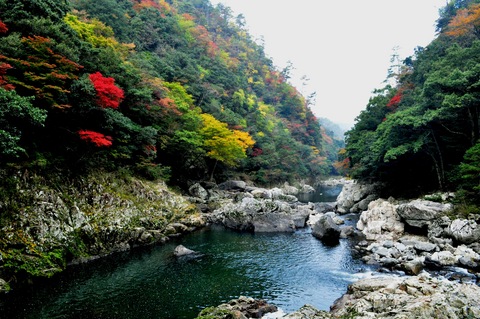 長門峡の紅葉