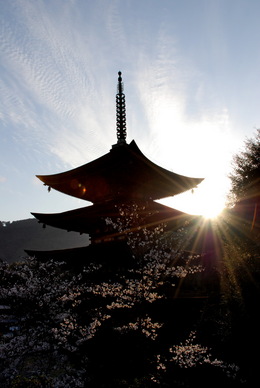 瑠璃光寺五重塔