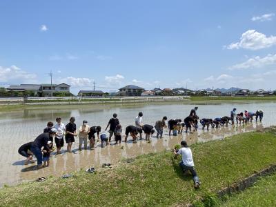 taue