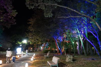 亀山公園（県立美術館横）のイルミネーション