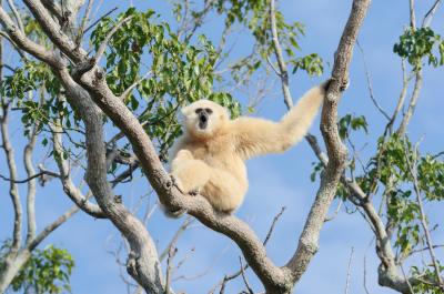 宇部市「ときわ動物園」の写真
