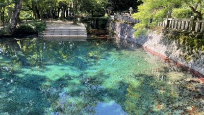 美祢市「別府弁天池」の写真