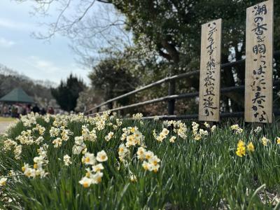 山陽小野田市「縄地ケ鼻公園」の写真