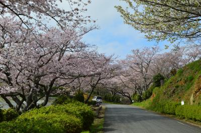 山陽小野田市「竜王山公園」の写真