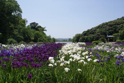 山陽小野田市「物見山総合公園」の写真