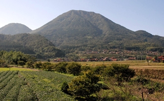 島根県津和野町「青野山」の写真