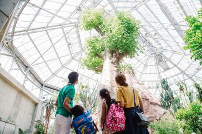宇部市「世界を旅する植物館」の写真