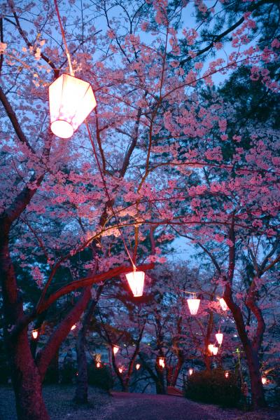 山陽小野田市「若山公園」の写真