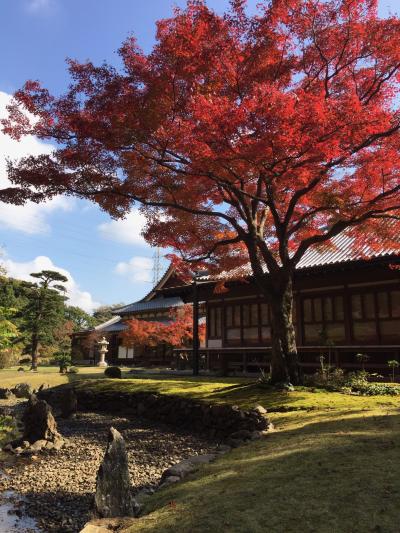 宇部市「宗隣寺」の写真