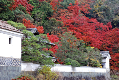 島根県津和野町「旧堀氏庭園」の写真