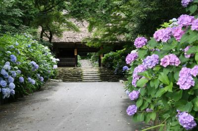 防府市「東大寺別院 阿弥陀寺」の写真