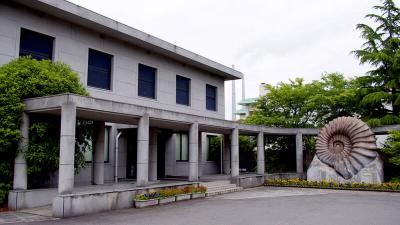 美祢市「美祢市化石館」の写真