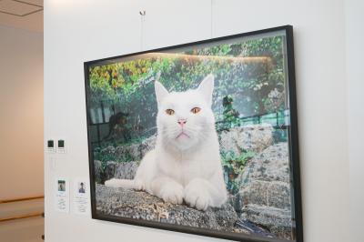 ​寄贈された絵画「ポジティブ」