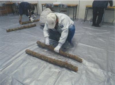 菌打ち体験の様子1