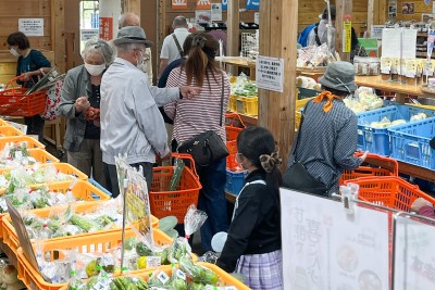 4月コラム画像