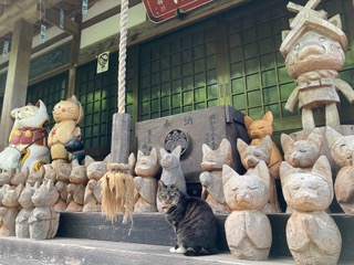 萩市「雲林寺」の写真