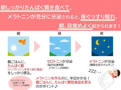 朝たんぱく