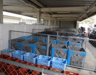 秋穂総合支所資源物ステーション