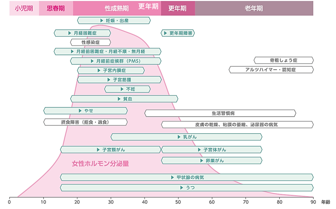 ライフステージ別女性の健康課題