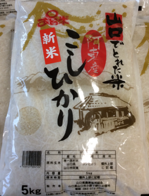 コシヒカリ