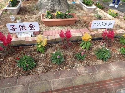 こと1