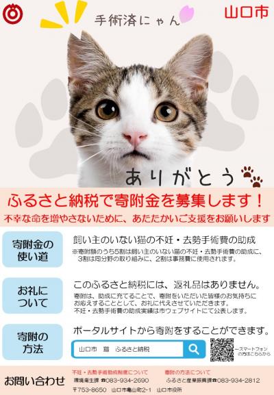 寄附金募集チラシ