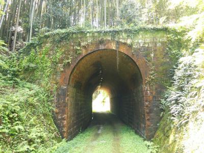 大棚トンネル