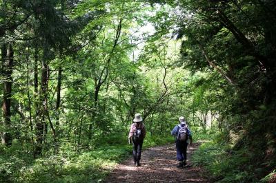 森林セラピーガイドツアー
