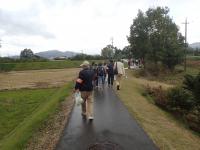 歩いている様子