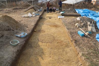 発掘調査の様子
