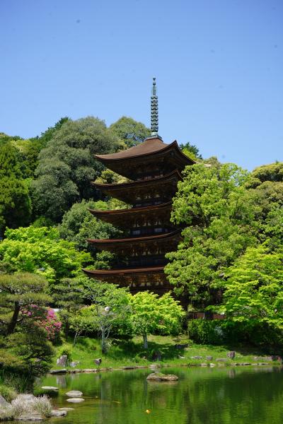 大改修を終えた国宝瑠璃光寺