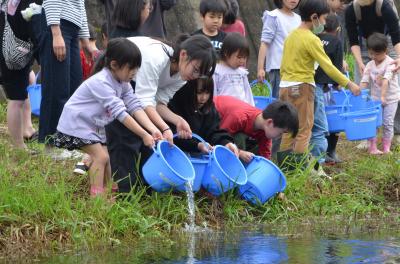 鮎の放流の様子