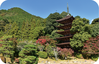 瑠璃光寺五重塔の写真