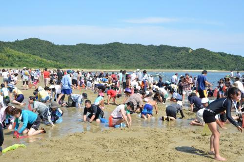 砂に潜ったえびを手探りで探す