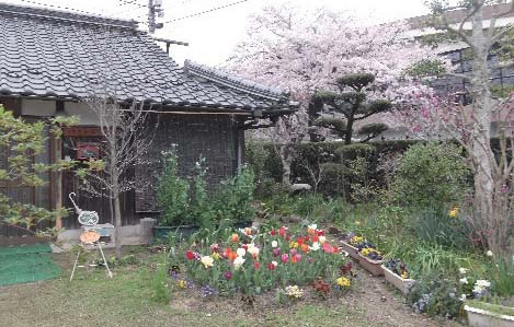 楽楽楽の庭の写真