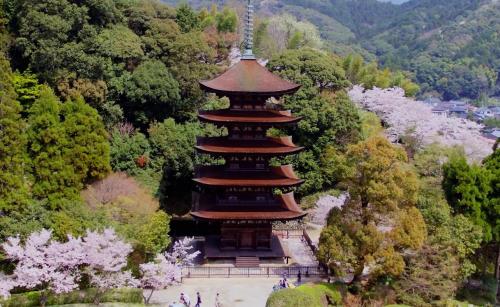 瑠璃光寺を空から見てみた