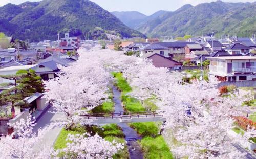 一の坂川を空から見てみた