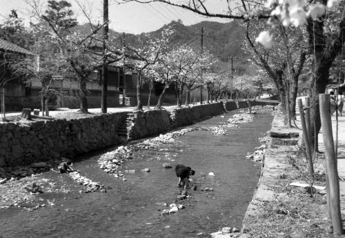 当時の一の坂川