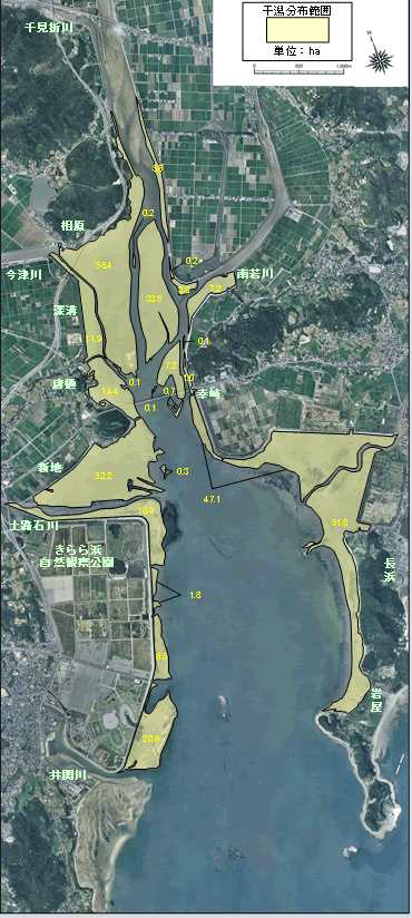 干潟分布図