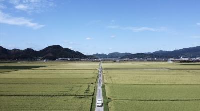 名田島の穀倉地帯