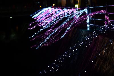 一の坂川沿いの桜イルミネーション