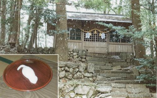 種替えさま(若宮神社)
