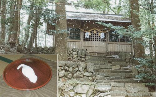 種替えさま（若宮神社）