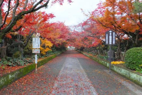 龍福寺参道