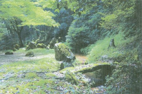 龍蔵寺　雪舟の庭