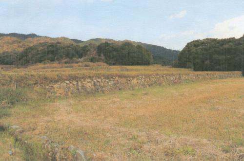 中尾の田園風景（棚田）