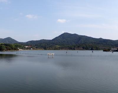長沢池
