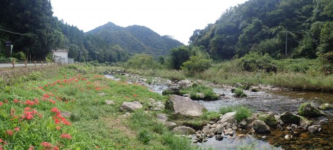 佐波川関水